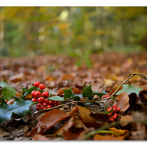 wald10