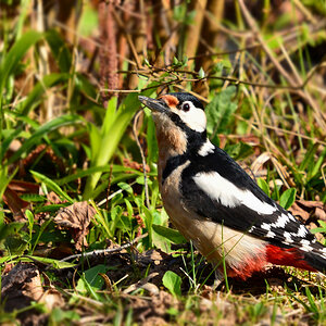 DSC 1319 khg