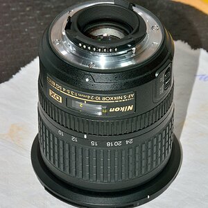 DSC 8894