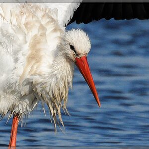 20141102 0097 [NIKON 1 V1] 300 mm,1 1600 Sek. bei ƒ   5,6 2