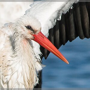20141102 1818 [NIKON D810] 500 mm,1 1000 Sek. bei ƒ   5,6 3