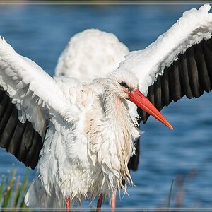 20141102 1818 [NIKON D810] 500 mm,1 1000 Sek. bei ƒ   5,6 4