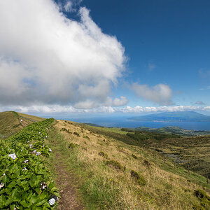 azoren faial 6