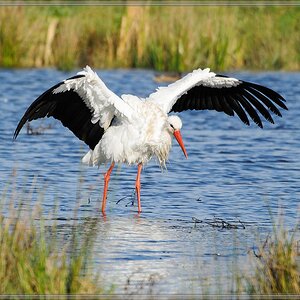 20141102 0097 [NIKON 1 V1] 300 mm,1 1600 Sek. bei ƒ   5,6