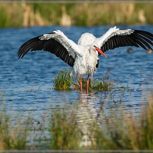 20141102 1818 [NIKON D810] 500 mm,1 1000 Sek. bei ƒ   5,6 2