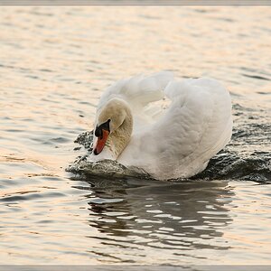 20141102 2301 [NIKON D810] 500 mm,1 640 Sek. bei ƒ   6,3