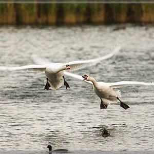 20141102 2455 [NIKON D810] 500 mm,1 160 Sek. bei ƒ   5,6