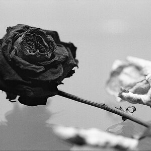 Scan Schwarz 0033