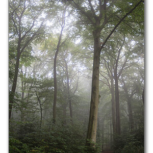 fog5