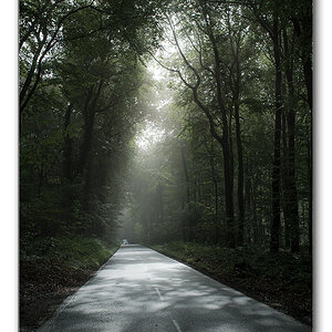 fog6
