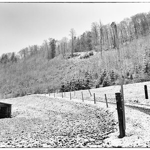SchneeDSC 0456