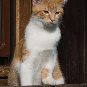 20140223 DSC01471