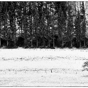 WinterDSC 8242