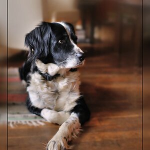 Compressed 0758 höhe 800 an  Bildschirm