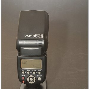 KR DSC 0864 1