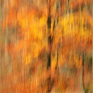 Herbstfarben
