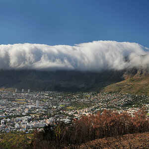capetown 5