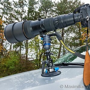 ©MaximilianWeinzierl©MaximilianWeinzierlMAX 9696