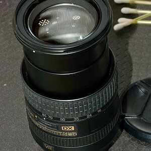 DSC 8942