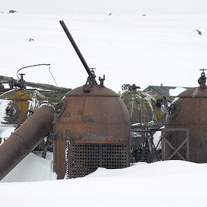 Töpfe in denen das Walöl ausgekocht wurde
Deception Island
8657