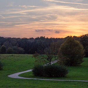 Herbst - am Forstbotanischen Garten, Köln