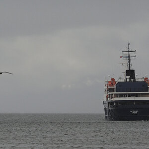 Die Ortelius verlässt Ushuaia
0306