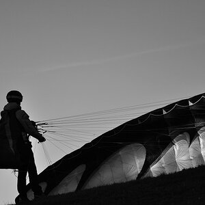 Paraglider