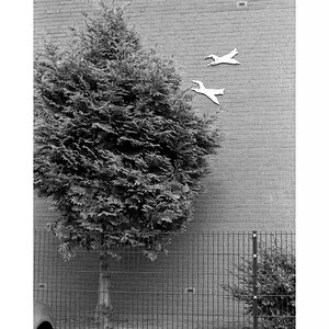 baum2