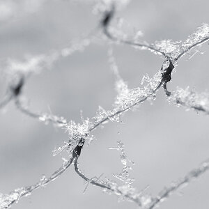 schnee1