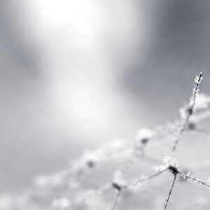 schnee2
