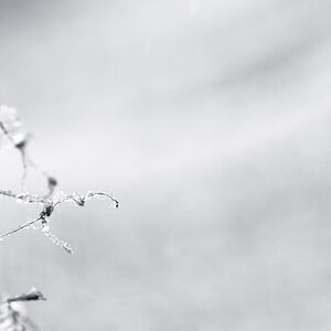 schnee3