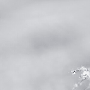 schnee4