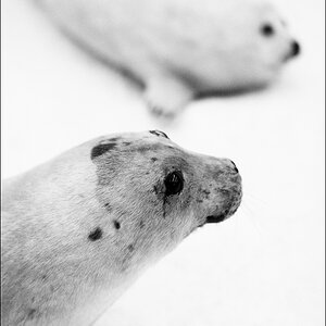 L1012814 Bearbeitet