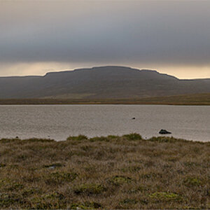 Halbinsel Skagi 20141007 162441 island 2014 pano mini