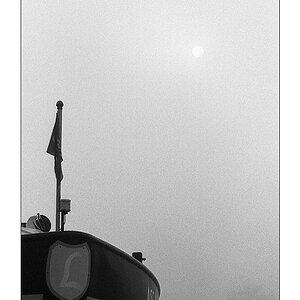 Nebel Lichtblick web