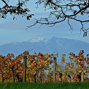 Schneeberg