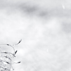 schnee5