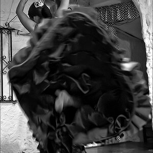2110407 4743 Flamenco TzSch Malaga
