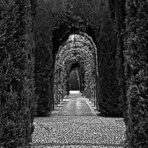 2110405 4427 Allee Alhambra Granada