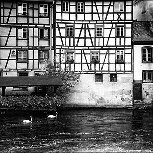 comp DSC00644 ShiftN Kopie