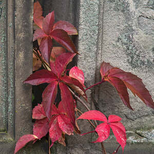 worms friedhof