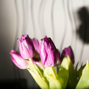 test 8000sek