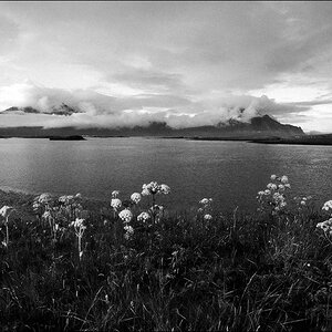 Island 06