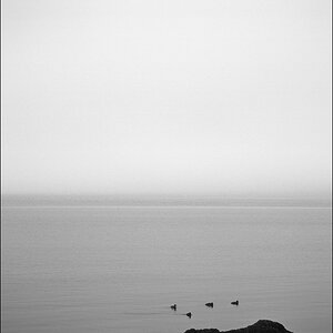 Island 20