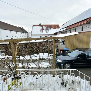 DSC 8646 01