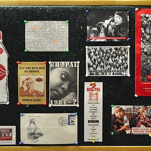 DSC0720 web