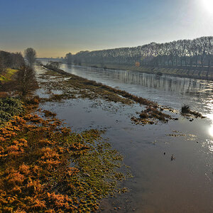 neckarhochwasser mannheim