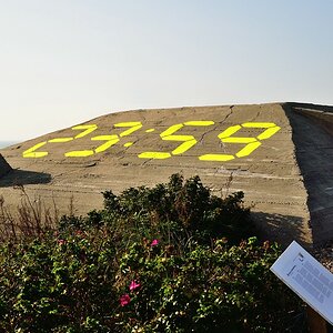 comp DSC 4392