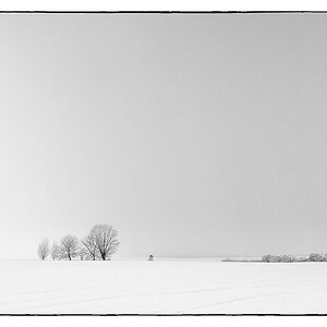 F005631sw2c