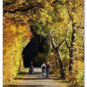 herbst
